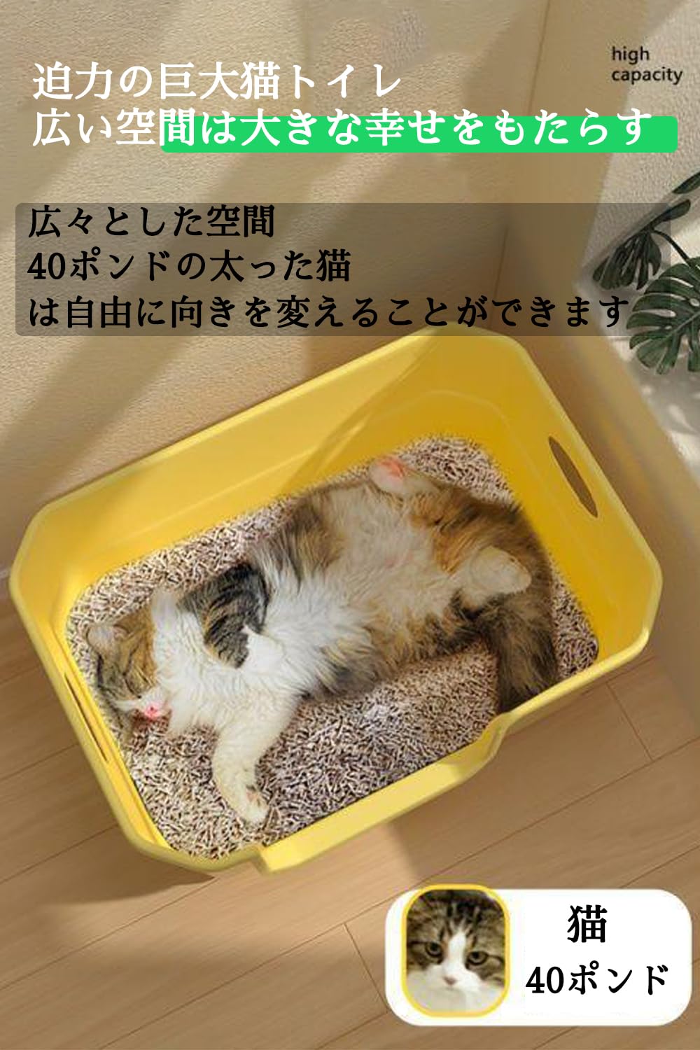 Amazon | 猫トイレ 大型トイレ 50サイズ 60サイズ 猫トイレ 大きい